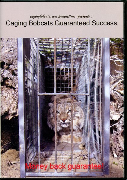 Caging Bobcats Guaranteed Success Vol 1 - by Mercer Lawing